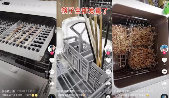 【默克菲爾免清洗洗碗機】長毛！發(fā)芽！你家洗碗機到底有多臟？